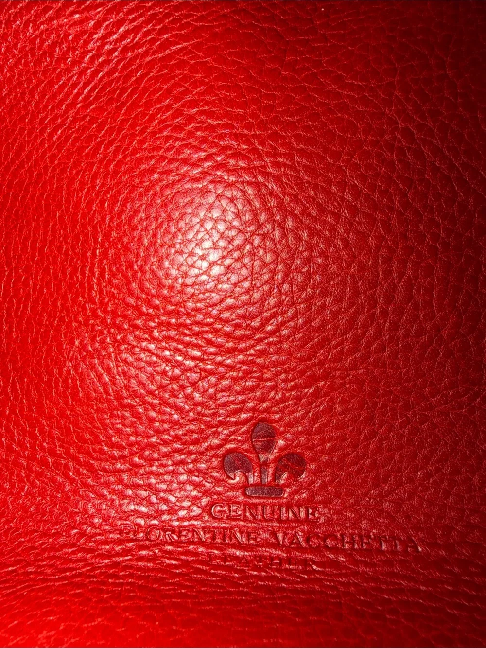Dooney & Bourke Red Leather Pocket Tote